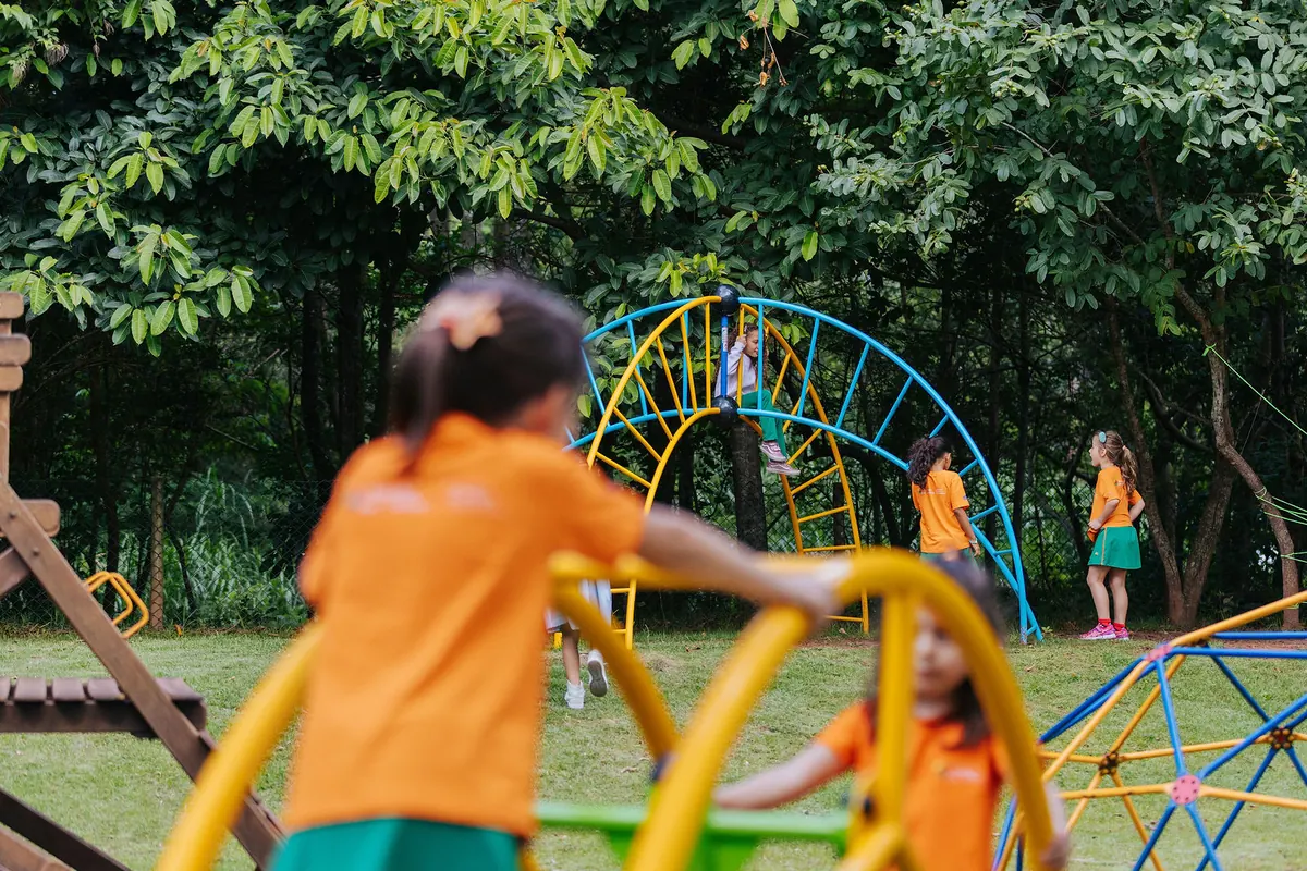 Crianças brincando nos brinquedos do parque em meio às árvores do bosque da escola